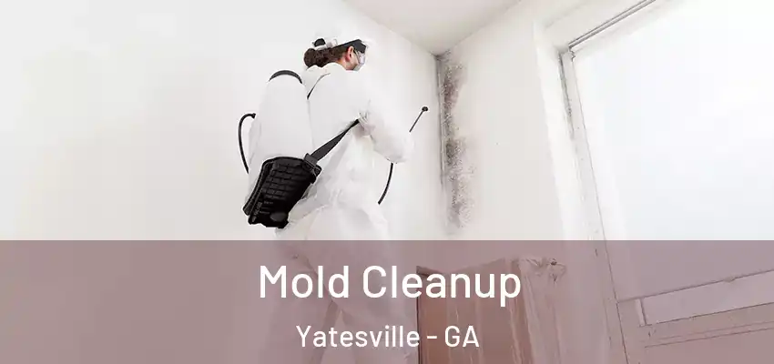  Mold Cleanup Yatesville - GA