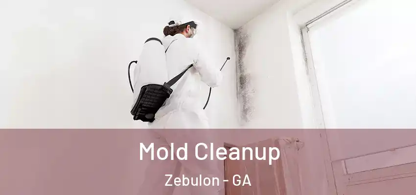 Mold Cleanup Zebulon - GA