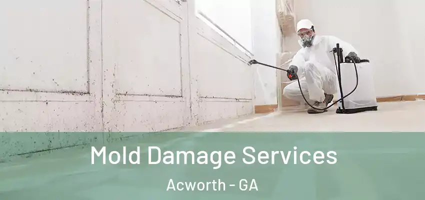 Mold Damage Services Acworth - GA