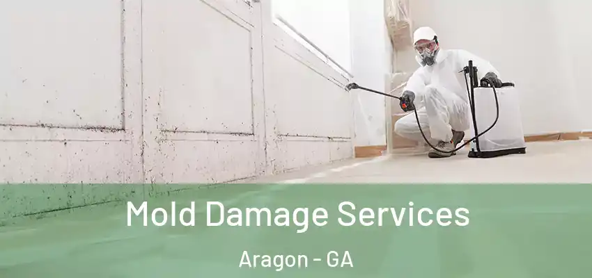  Mold Damage Services Aragon - GA