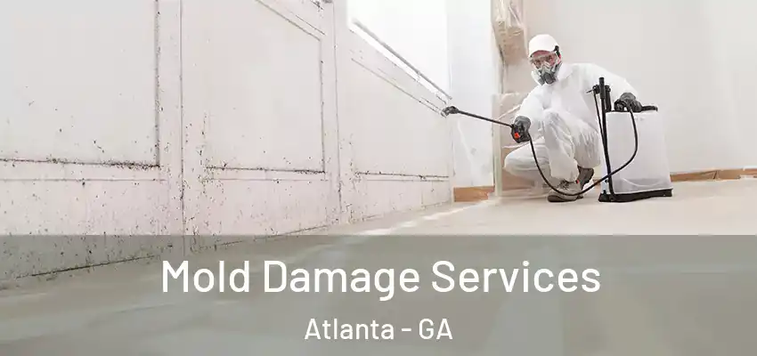 Mold Damage Services Atlanta - GA