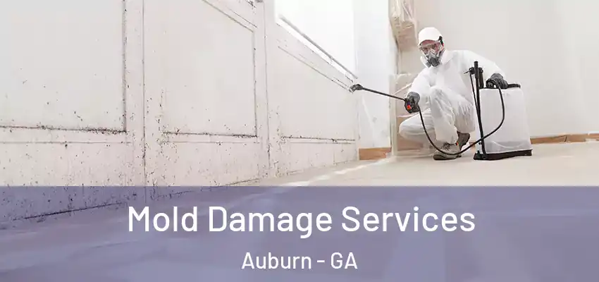 Mold Damage Services Auburn - GA