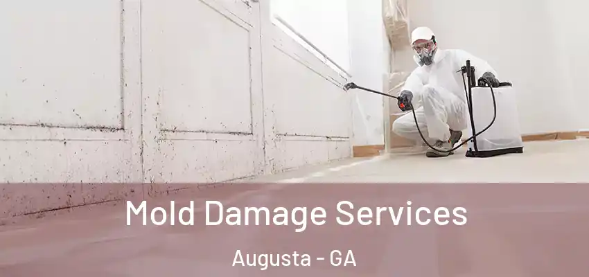  Mold Damage Services Augusta - GA
