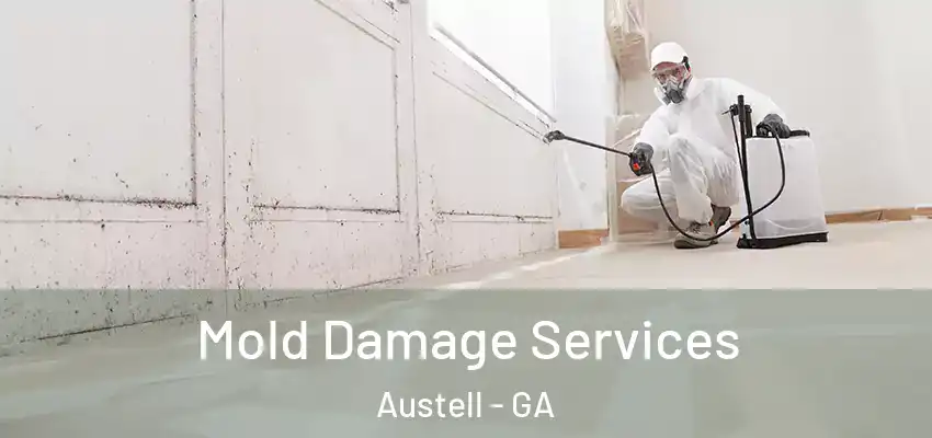  Mold Damage Services Austell - GA
