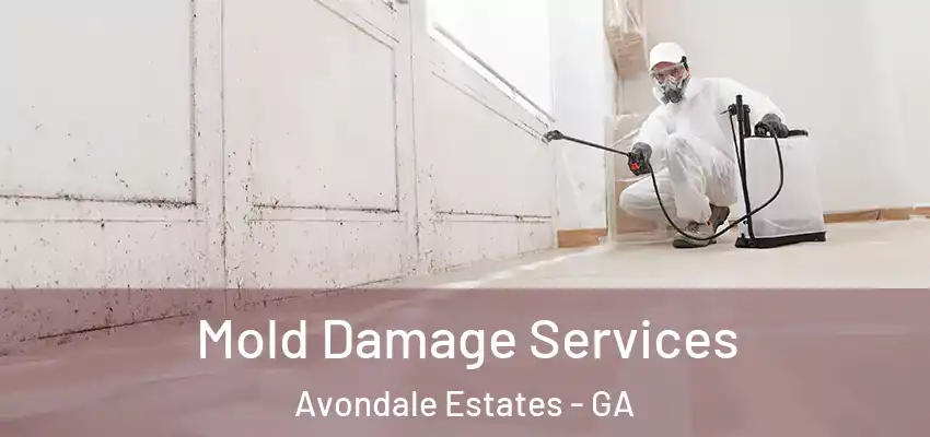  Mold Damage Services Avondale Estates - GA