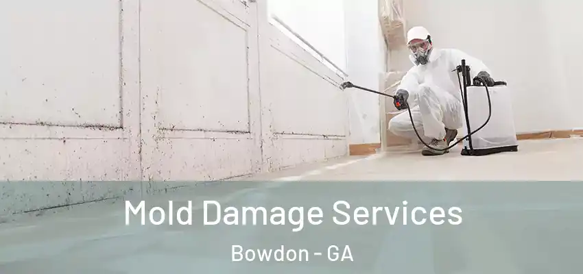  Mold Damage Services Bowdon - GA