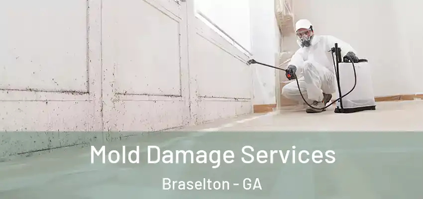 Mold Damage Services Braselton - GA