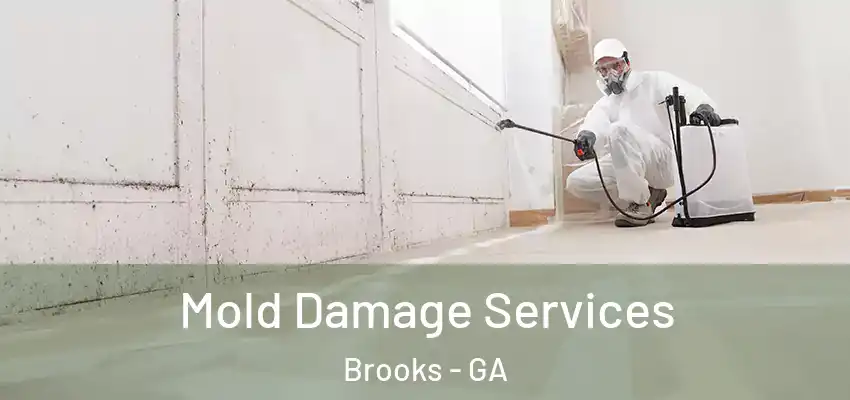  Mold Damage Services Brooks - GA