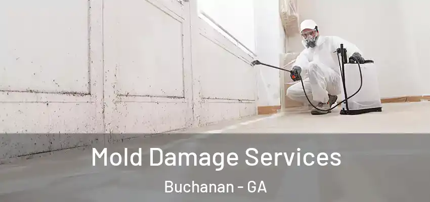 Mold Damage Services Buchanan - GA