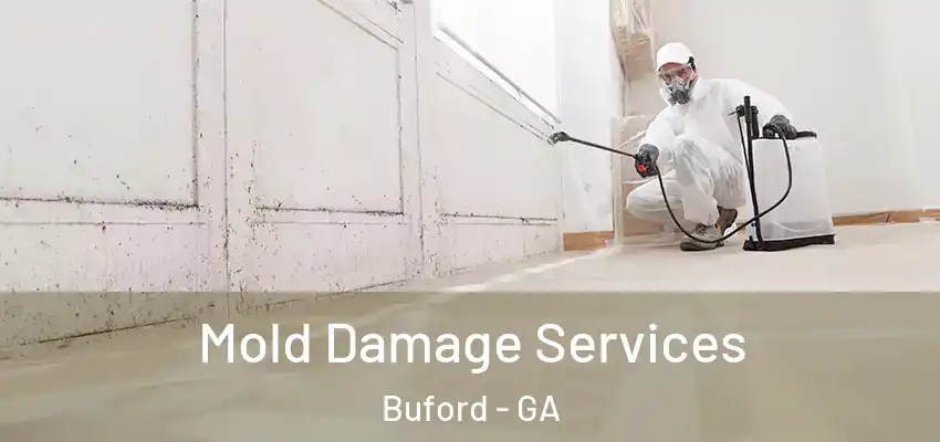  Mold Damage Services Buford - GA