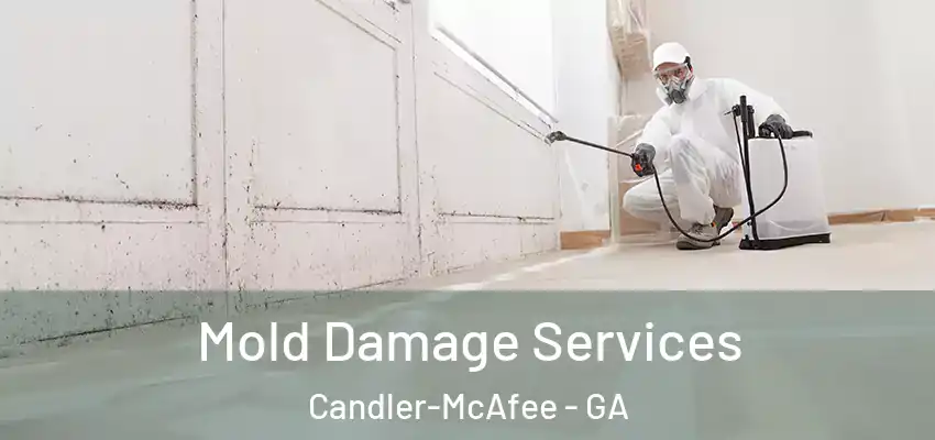  Mold Damage Services Candler-McAfee - GA