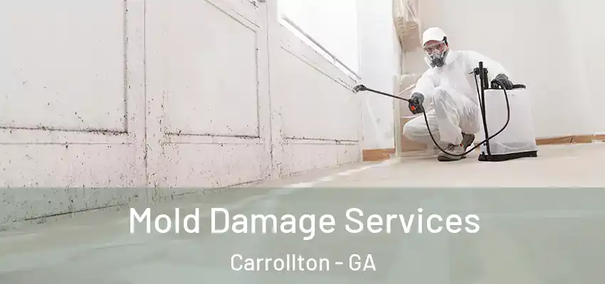Mold Damage Services Carrollton - GA