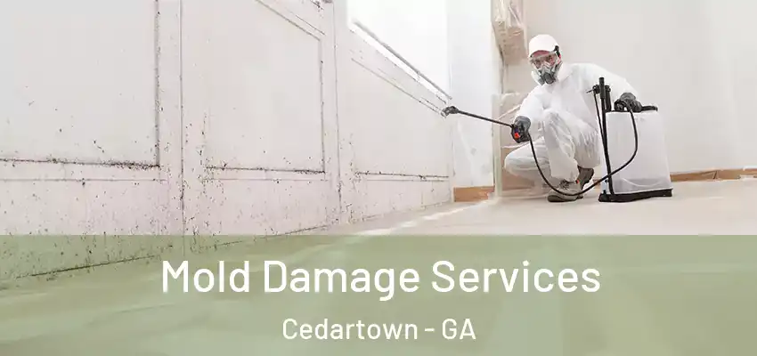 Mold Damage Services Cedartown - GA