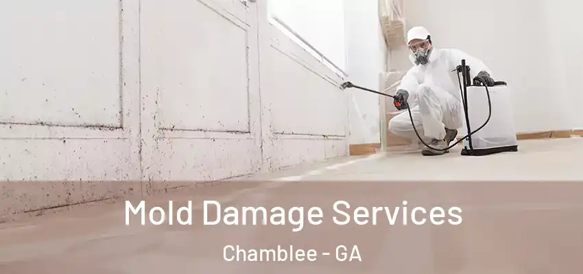 Mold Damage Services Chamblee - GA
