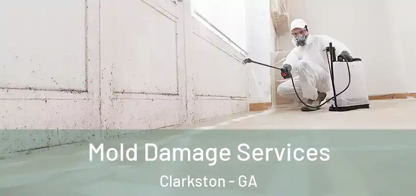 Mold Damage Services Clarkston - GA