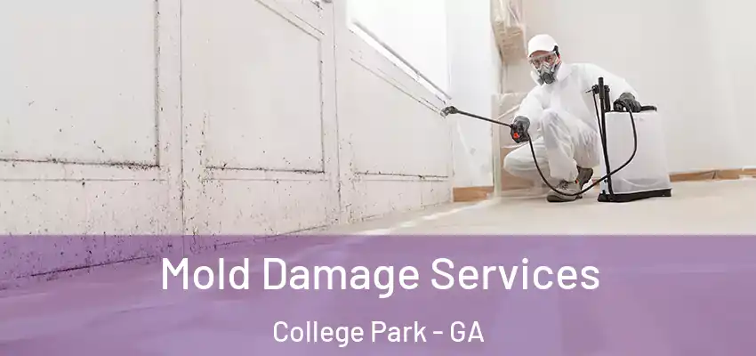 Mold Damage Services College Park - GA