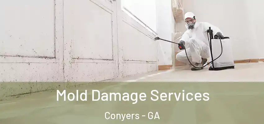  Mold Damage Services Conyers - GA