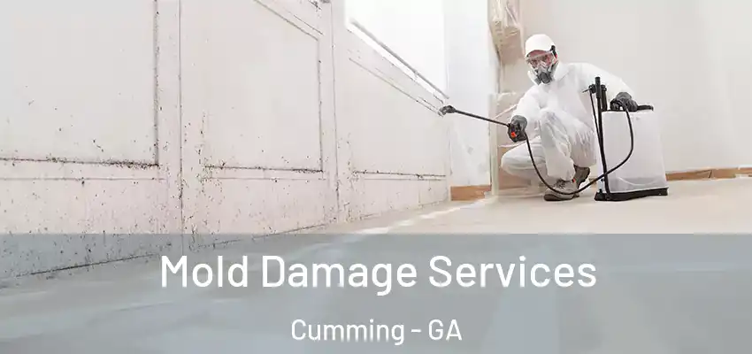 Mold Damage Services Cumming - GA