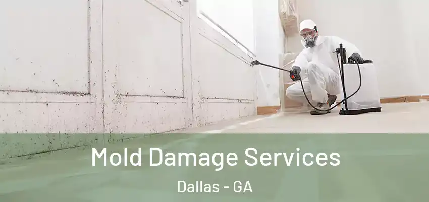 Mold Damage Services Dallas - GA