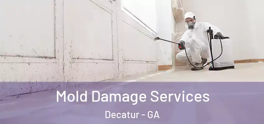 Mold Damage Services Decatur - GA