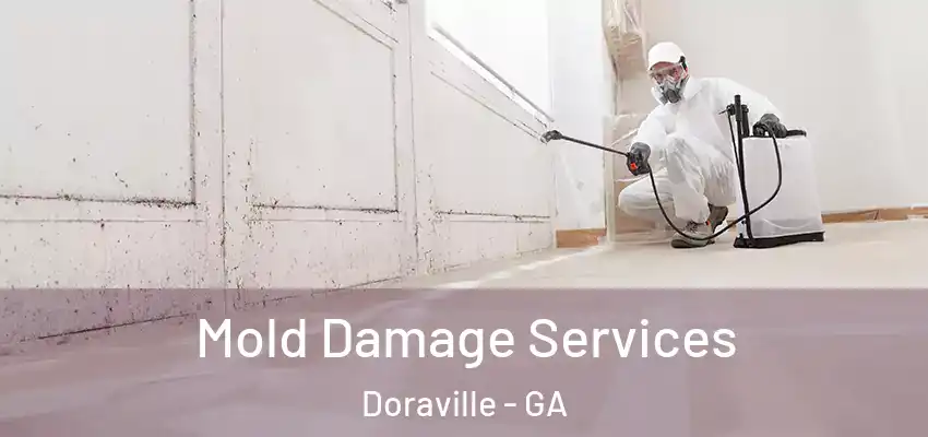 Mold Damage Services Doraville - GA