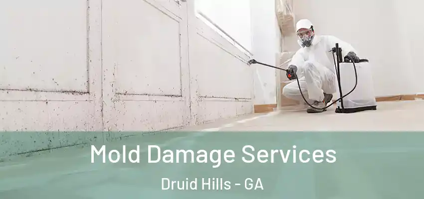 Mold Damage Services Druid Hills - GA
