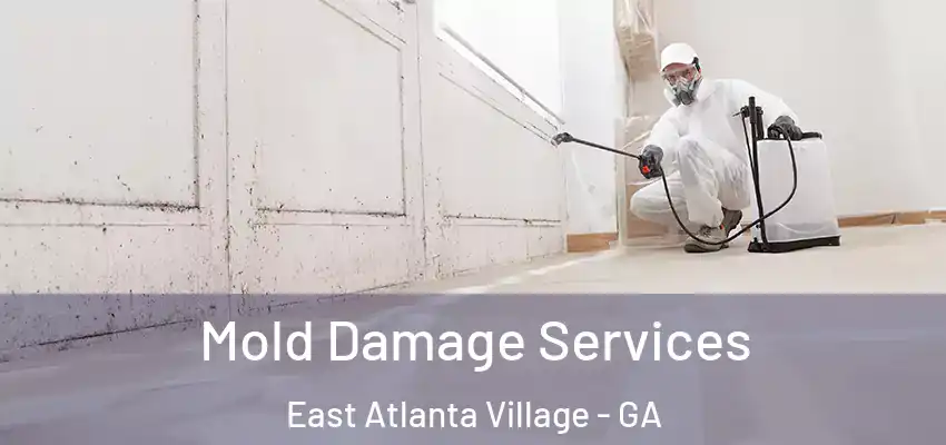 Mold Damage Services East Atlanta Village - GA