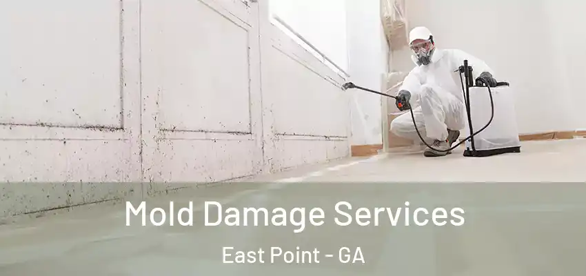Mold Damage Services East Point - GA