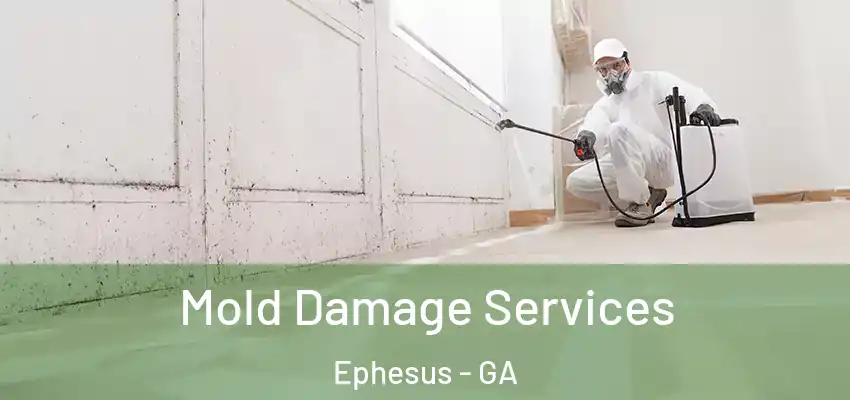 Mold Damage Services Ephesus - GA