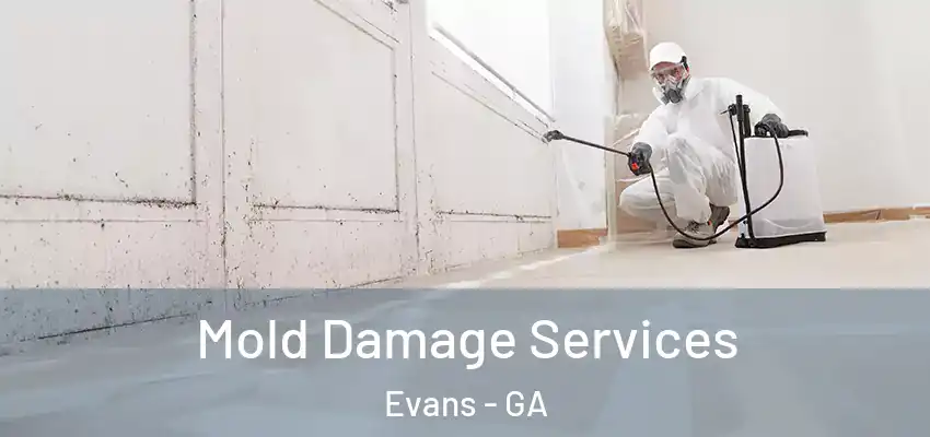  Mold Damage Services Evans - GA