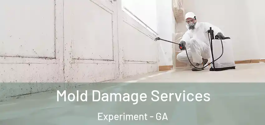  Mold Damage Services Experiment - GA
