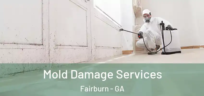  Mold Damage Services Fairburn - GA