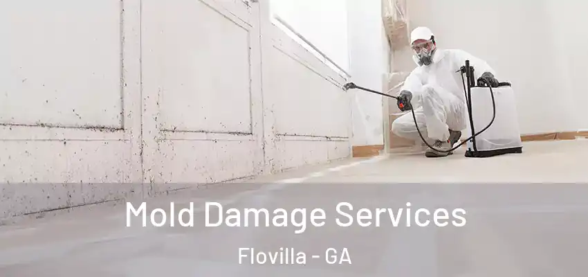  Mold Damage Services Flovilla - GA