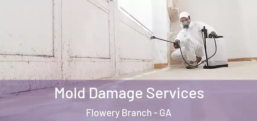  Mold Damage Services Flowery Branch - GA