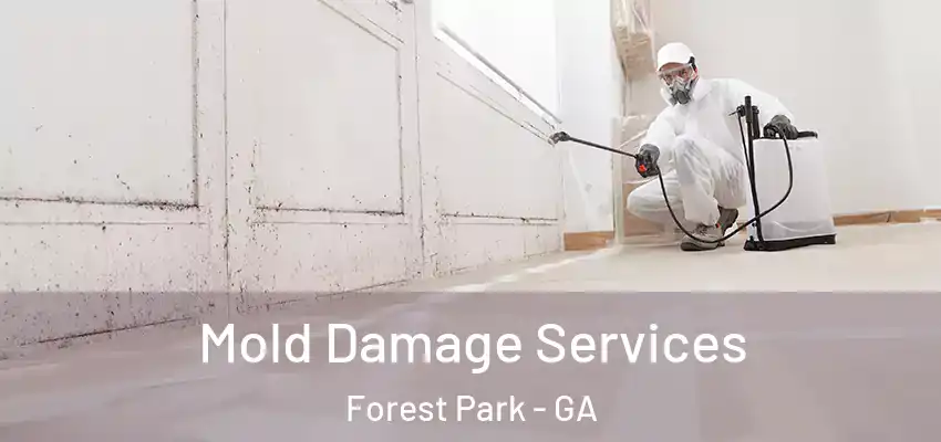  Mold Damage Services Forest Park - GA