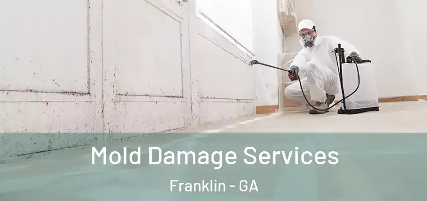 Mold Damage Services Franklin - GA