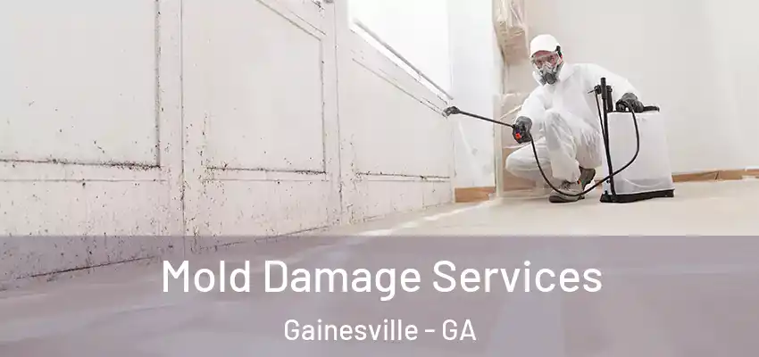  Mold Damage Services Gainesville - GA