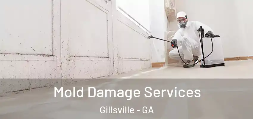 Mold Damage Services Gillsville - GA