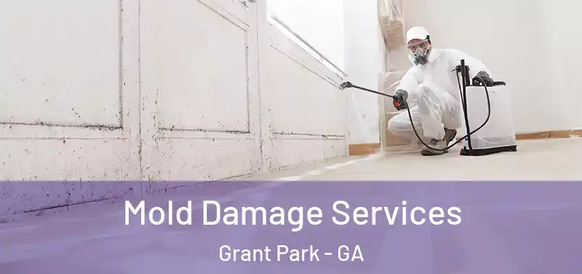  Mold Damage Services Grant Park - GA
