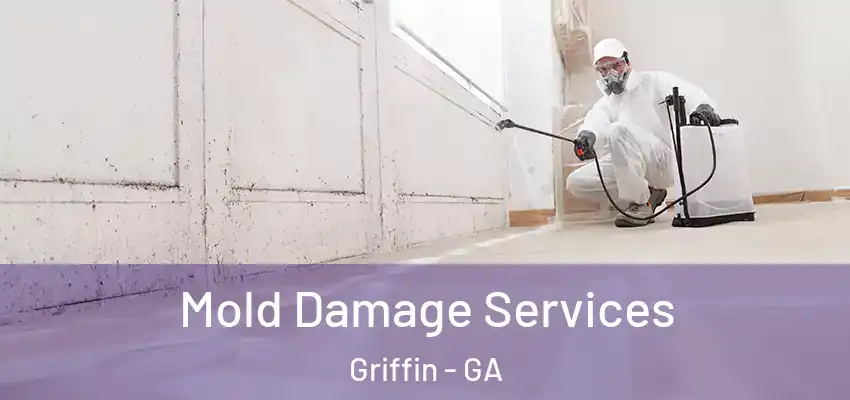  Mold Damage Services Griffin - GA