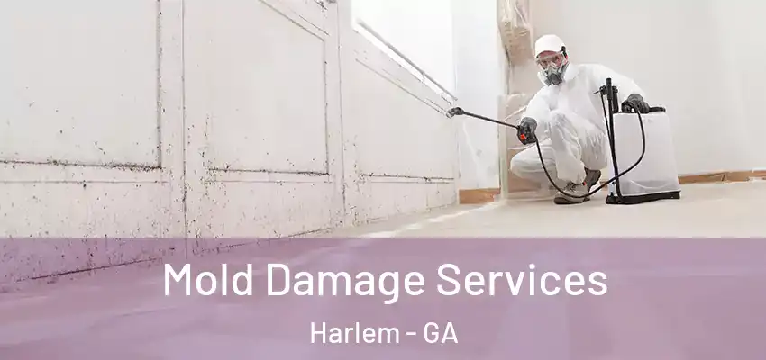  Mold Damage Services Harlem - GA
