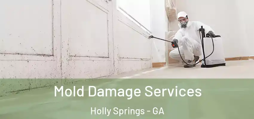  Mold Damage Services Holly Springs - GA