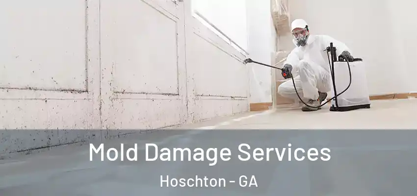 Mold Damage Services Hoschton - GA