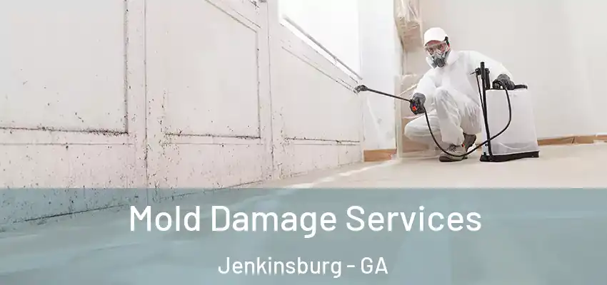 Mold Damage Services Jenkinsburg - GA