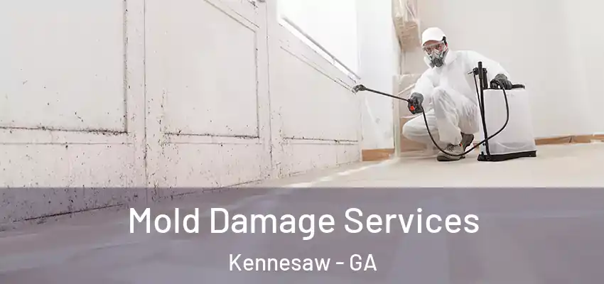Mold Damage Services Kennesaw - GA