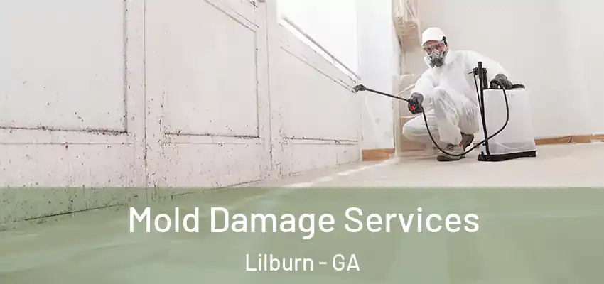  Mold Damage Services Lilburn - GA