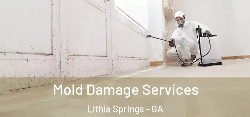 Mold Damage Services Lithia Springs - GA