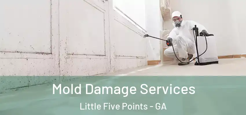  Mold Damage Services Little Five Points - GA
