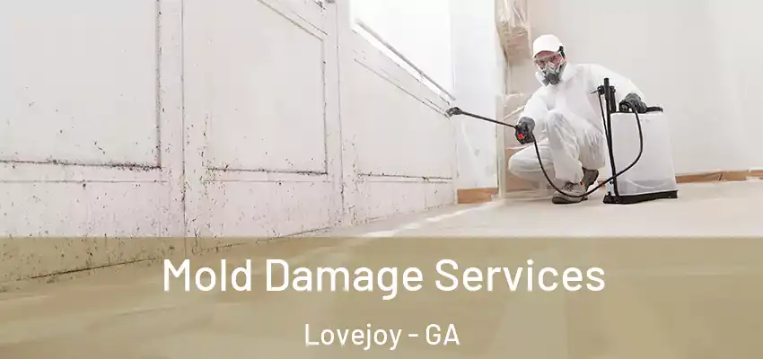  Mold Damage Services Lovejoy - GA