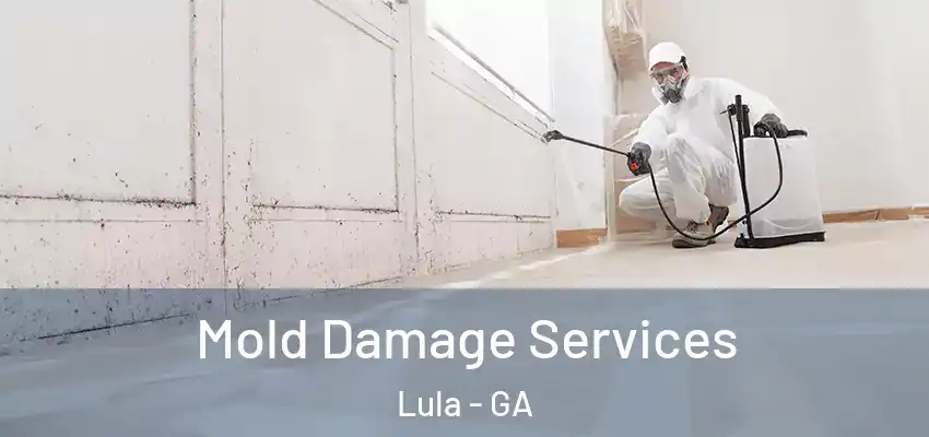  Mold Damage Services Lula - GA